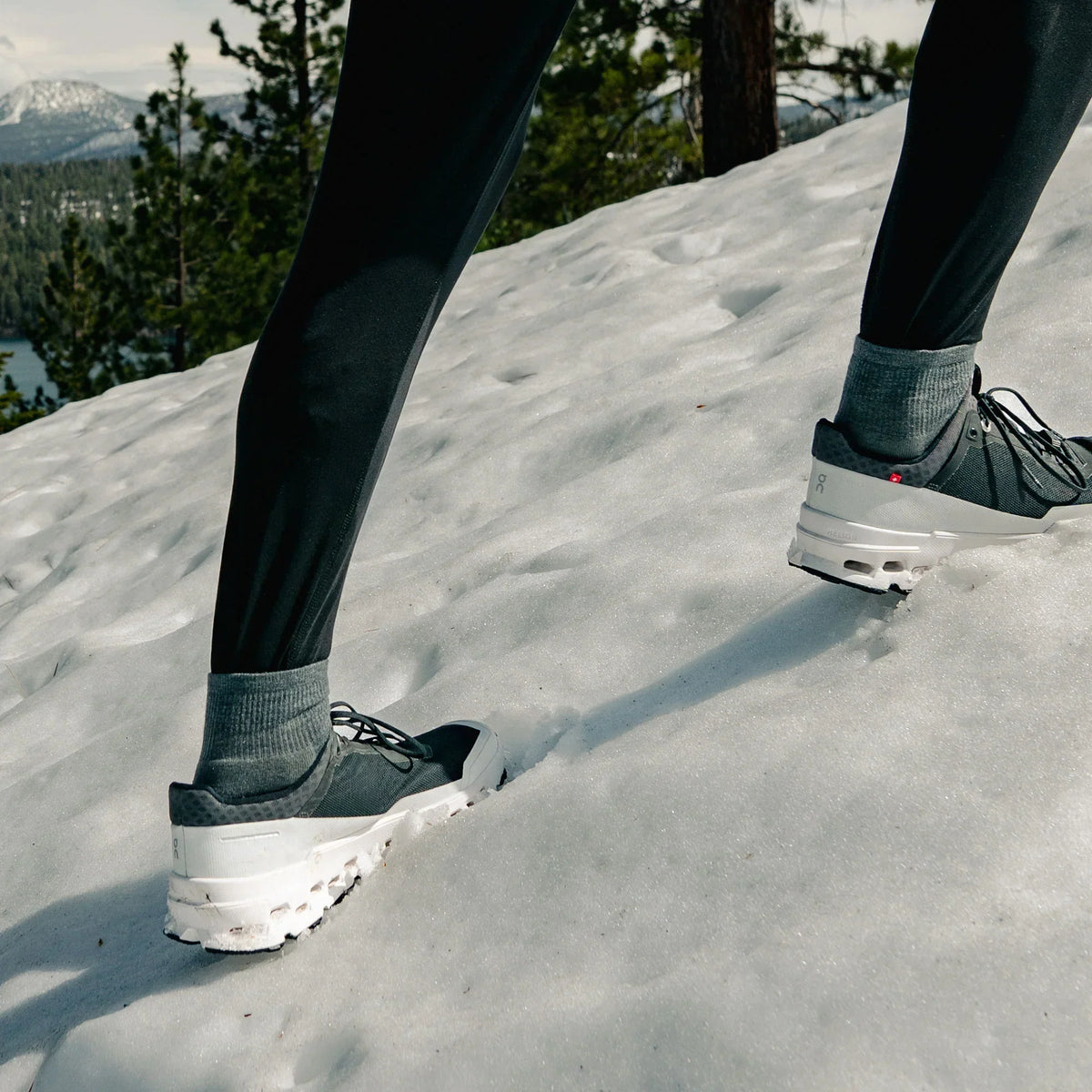 Merino 10 Ultra Light Quarter 6 Pack